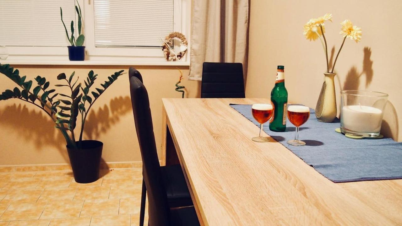 Cozy Apartment At River Labe Near Center And Train Usti nad Labem Ngoại thất bức ảnh